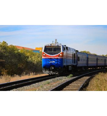 Приключение на Шелковом пути